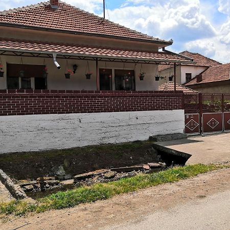 Kuca Mijalkovic Apartment Pirot Exterior photo