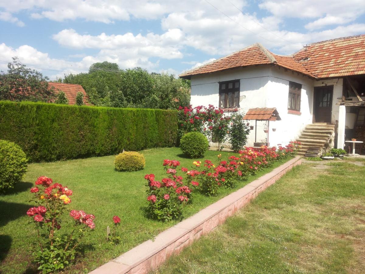 Kuca Mijalkovic Apartment Pirot Exterior photo